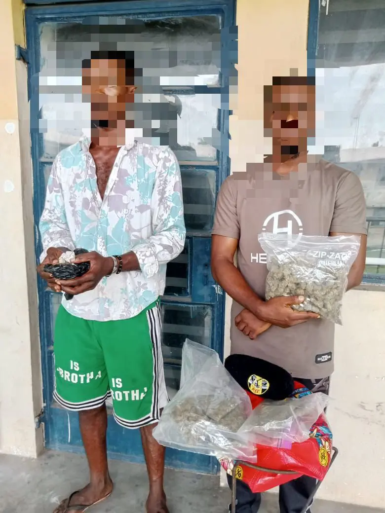 Police nab two for drug trafficking in Imo