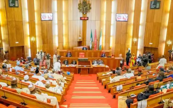 Senate Rejects Nnamdi Anyaechie, National Assembly Commission Nominee