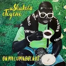 Okmalumkoolkat – iStandard ft Teebow Bangs