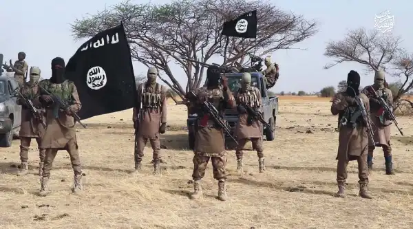 ISWAP Allegedly Bans Farmers And Fishermen From Borno LG