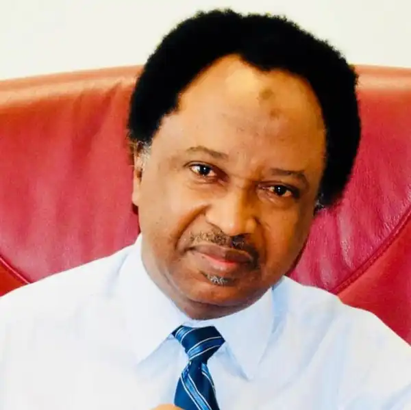 G5 Governors Were Helpless, Couldn’t Have Made Atiku Win – Shehu Sani
