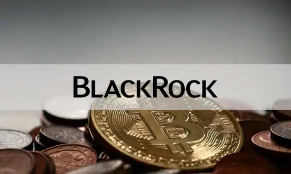 World’s Largest Asset Manager BlackRock Owns $383M of Bitcoin Miners Stocks: Report