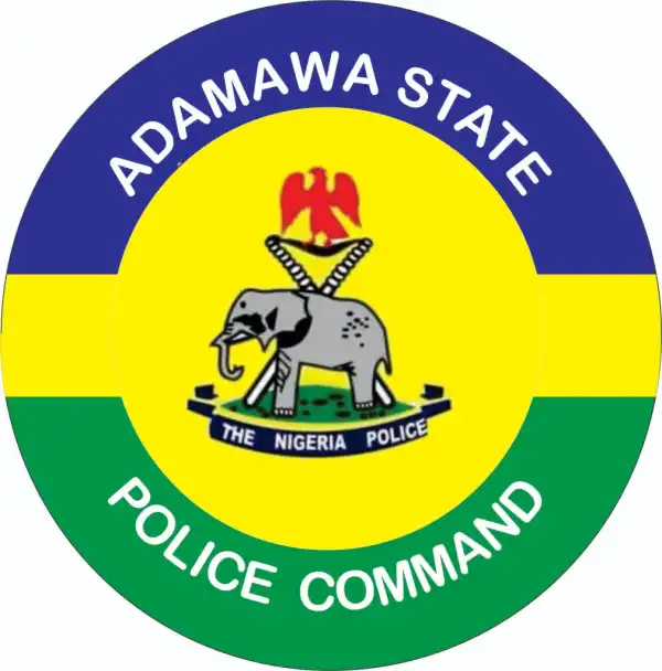 Adamawa police operatives nab 7 Shila Boys for alleged robbery