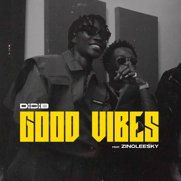 Didi B – Good Vibes Ft. Zinoleesky