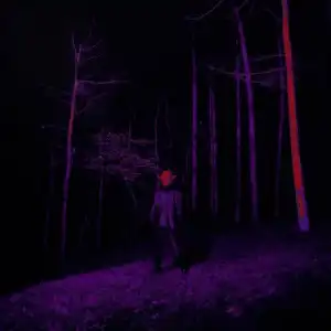 Destroy Lonely – Back Sippin