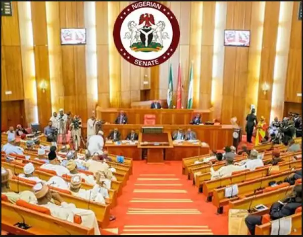 Senate May Reject Onochie For INEC’s Job (Read Details)