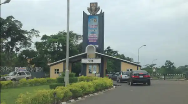 Alleged Fraud: After Three Years, Court Frees Ex-OAU Acting VC