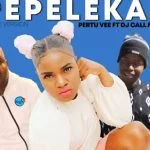 Pertu Vee – Pepeleka ft Dj Call Me & Mjelo