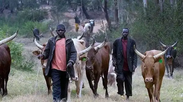 BREAKING!!! Panic In Benue State Community As Suspected Herdsmen Kills 40 In Fresh Attack