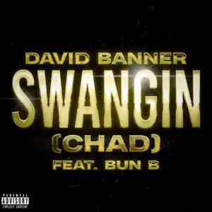 David Banner, Bun B - Swangin (Chad)