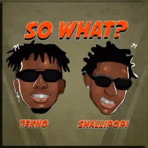 Tekno ft. Shallipopi – So What?