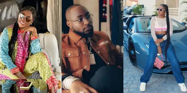 “If I am not guilty then someone has been telling the public a big lie,” Sophia Momodu tells man who called her toxic over her drama with Davido