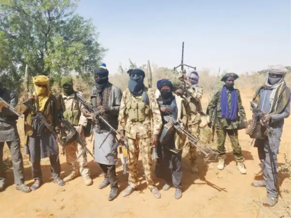 Terrorists Kidnap 50 In Kaduna Community