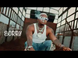 Harmonize – Sorry (Video)