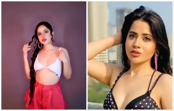 Career & Net Worth Of Urfi Javed