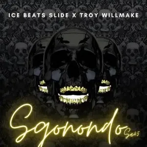 Ice Beats Slide & Troy Willmake – Guitar 19