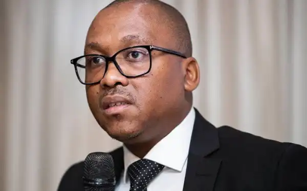 Biography & Career Of Bandile Masuku