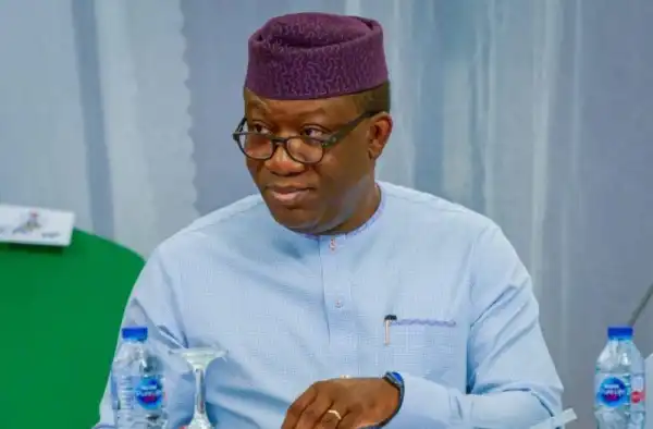 Executive Order 10: Buhari Was Misadvised By His Aides – Fayemi