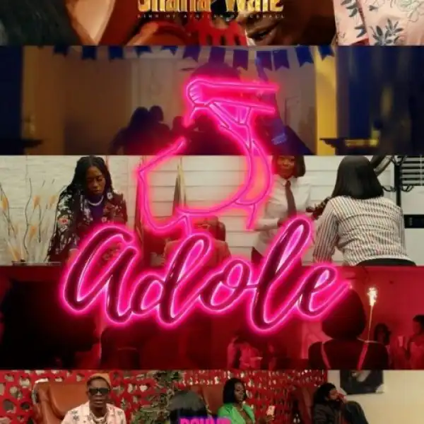 Shatta Wale – Adole