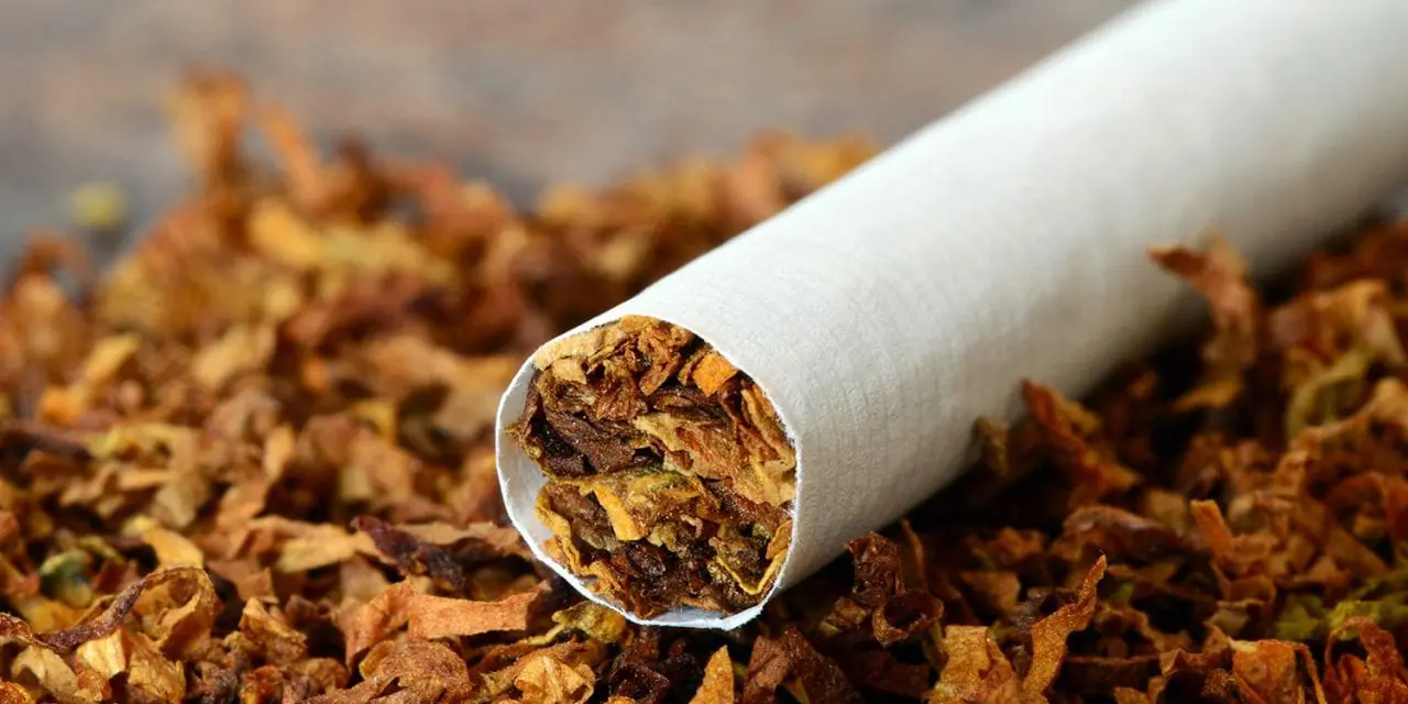 Bauchi stakeholders demand stronger tobacco control, push for higher taxes