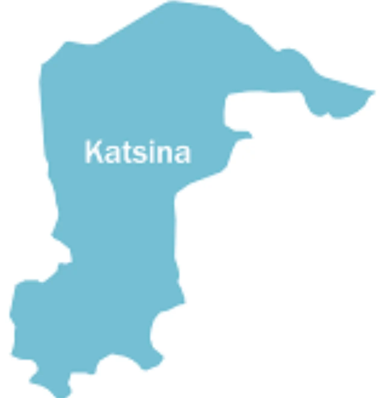 After 37 days in captivity, slain lecturer’s children regain freedom in Katsina