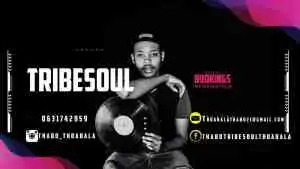 TribeSoul – JoziFM Mix