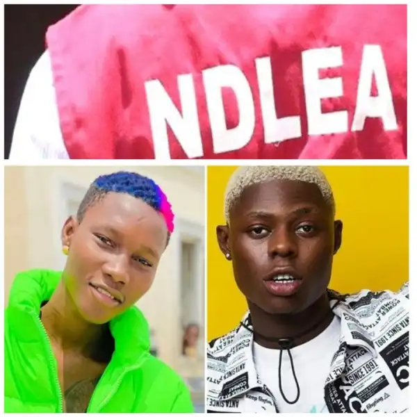 Why We Arrested Zinoleesky, Mohbad And Three Others – NDLEA