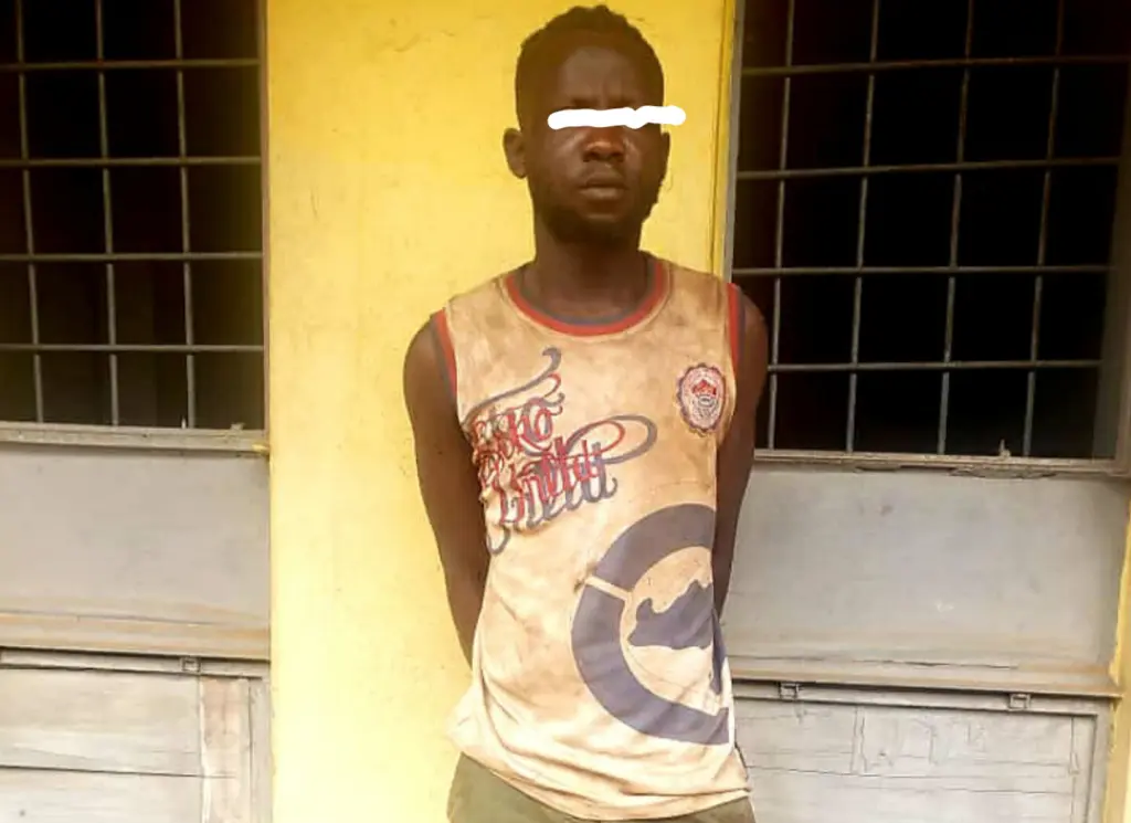 Police arrest suspected burglar in Ogun