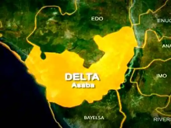 Nwoko, Diden grab PDP senatorial tickets in Delta