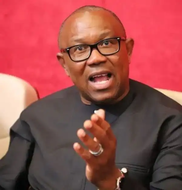 Do You Agree? Total Dependence On Oil, Curse To Nigeria — Peter Obi