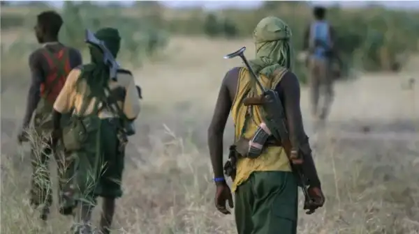 Herder kills teenage farmer in Borno over grazing dispute