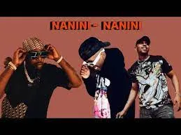 2woShort x DJ Maphorisa – Nanini Nanini Ft Felo Le Tee (Leak)