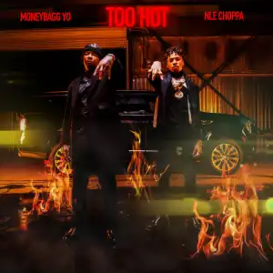 NLE Choppa Ft. Moneybagg Yo – Too Hot (Instrumental)