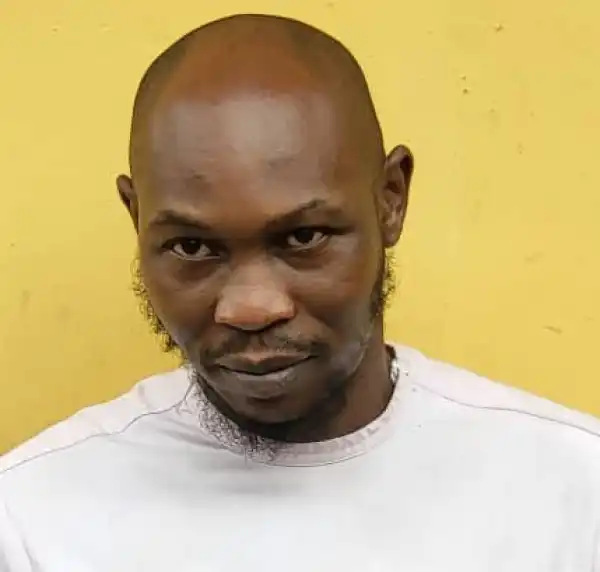 Assault: Seun Kuti returns to court September 27