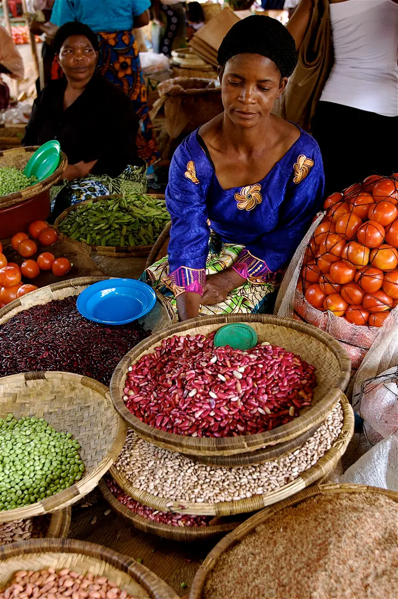 Food, nutrition crisis looms for 24.8m in 26 states, FCT – FAQ